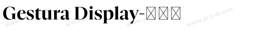 Gestura Display字体转换 Gestura Display字体转换